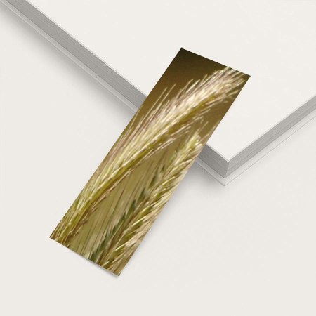 Bookmark Golden Sheaves