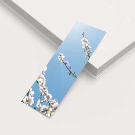 Bookmark Spring Blossom