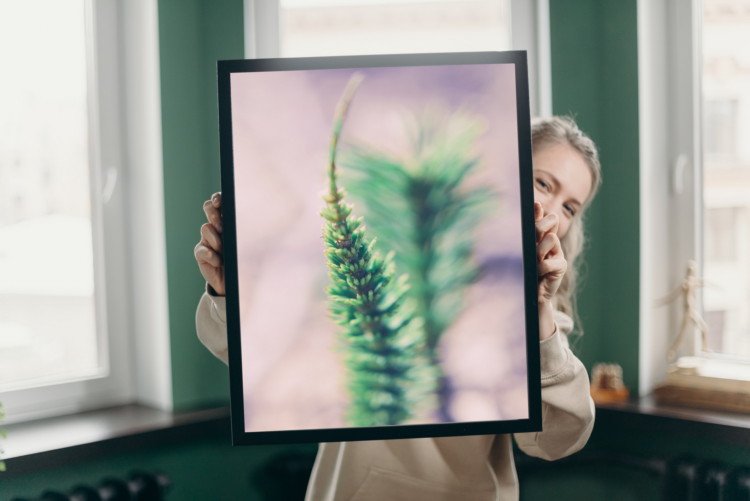 photo gallery posters