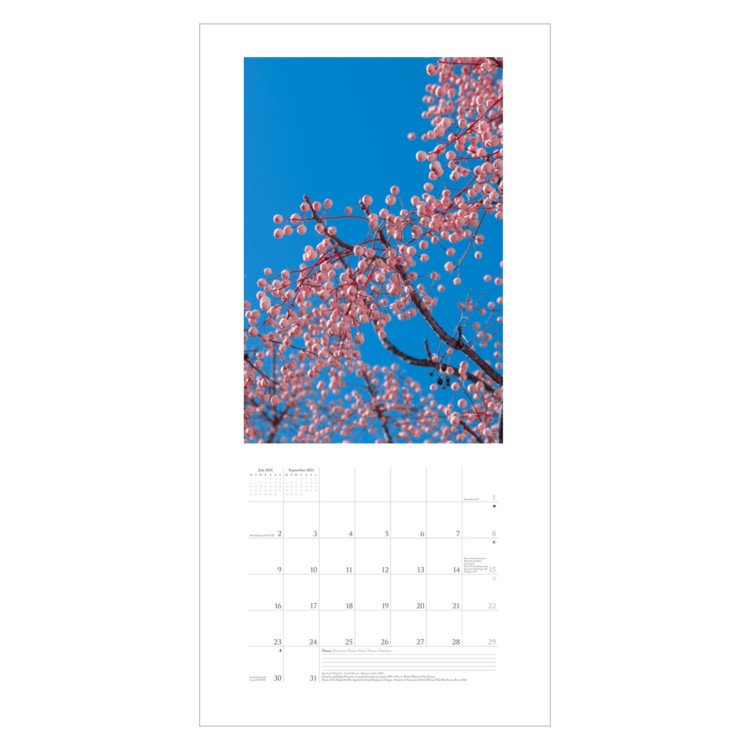 Botanic Art Calendar